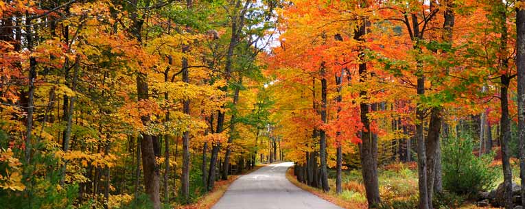 Guide to a New England Fall Vacation | Allianz Global Assistance