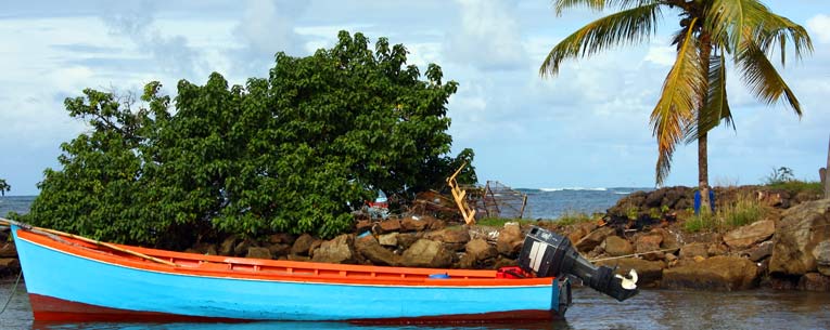 Allianz - Martinique