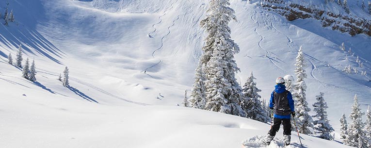 Allianz - Ski Trip