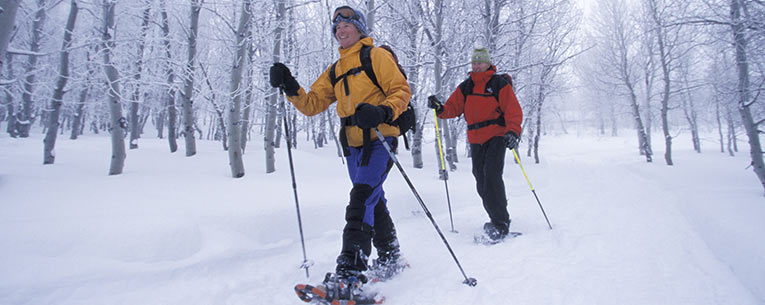 Allianz - Snow Shoe