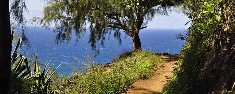 Allianz - Hawaii Trail