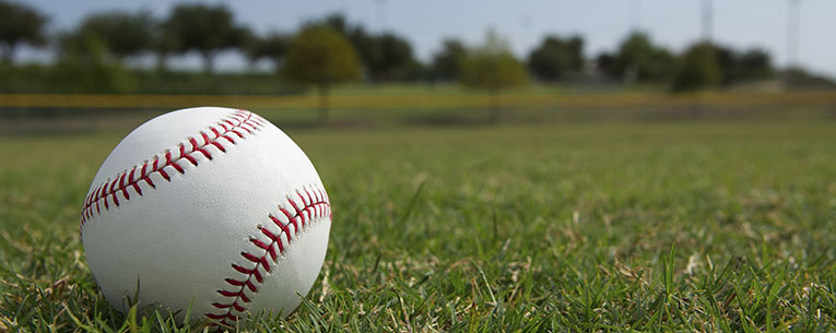 baseball spring training