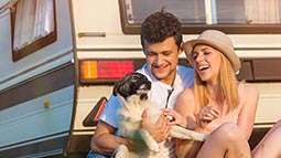 RV Road Trip with Your Dog