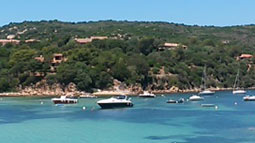 Corsica