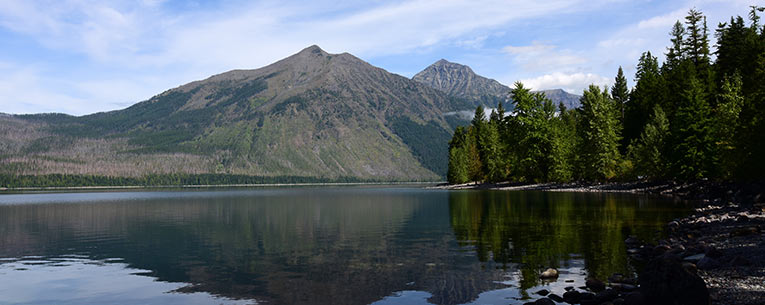 Allianz - Glacier National Park