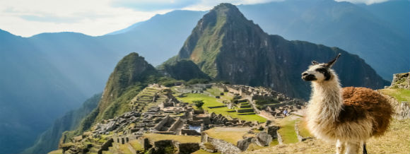Allianz - Machu Picchu