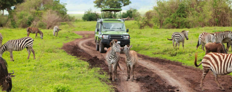 The Best Budget African Safaris for 50+ Travelers | Allianz Global