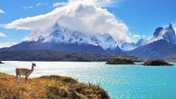 patagonia landscape