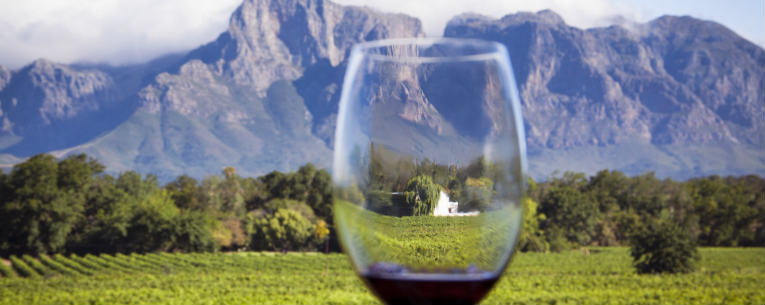 Allianz - Wine with South African Landscape