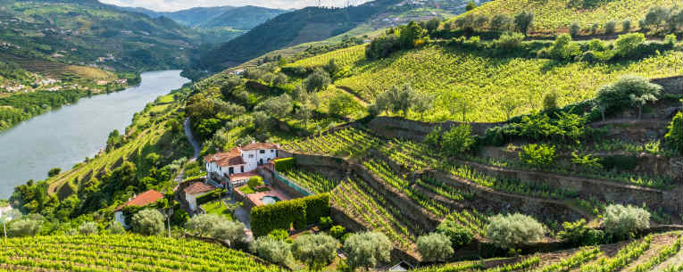 Allianz - Wine Tasting in Portugal