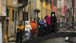 Carnival Celebrations