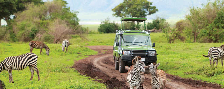 Allianz - Family African Safari