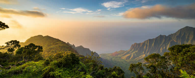 Allianz - budget-hawaii