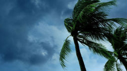 Natural Disaster