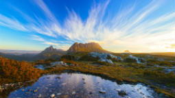 Reasons for Travel Insurance