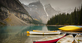 Image for OneTrip Emergency Medical Image for OneTrip Emergency Medical