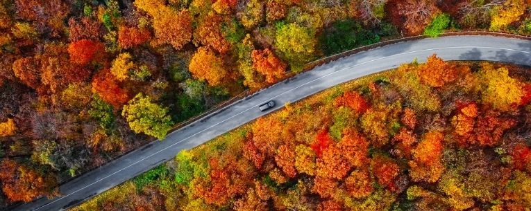 Allianz - leaf peeping road trip