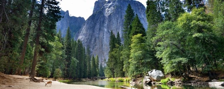 Allianz - Yosemite National Park