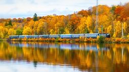 fall train travel