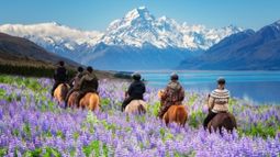 travelers in New Zealand