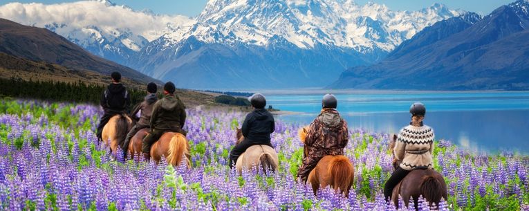 Allianz - travelers in New Zealand