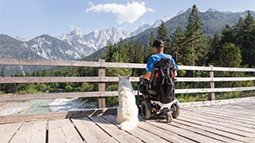person in wheelchair with service animal