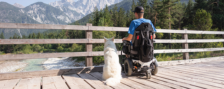Allianz - person in wheelchair with service animal