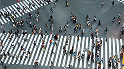 people walking in a city