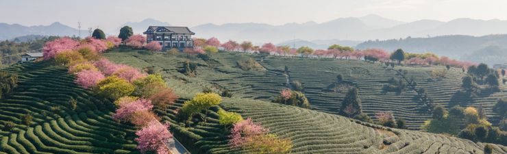 ONE-TRIP PLANS